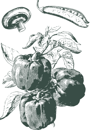 https://www.lachapelle.me/wp-content/uploads/2023/01/mobile_legumes_3-min.png